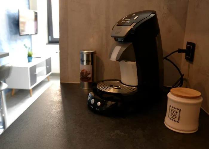 Le Cyclade, De Standing En Hyper-centre. * סירגומין